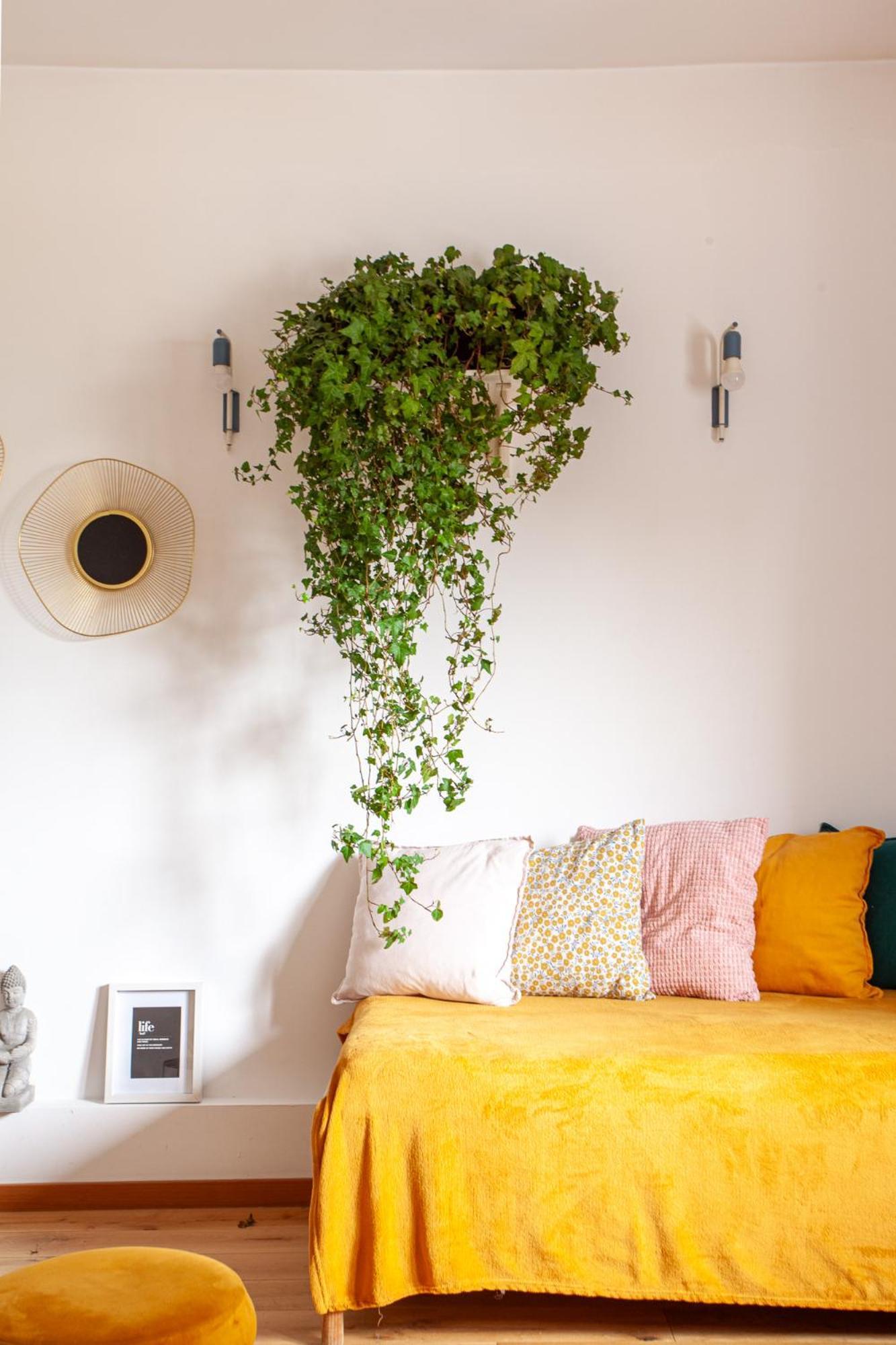 Apartament 2 2 Baths Oldtown Bucureşti